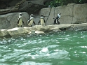 Alex_DZoo_Safari-I (27)